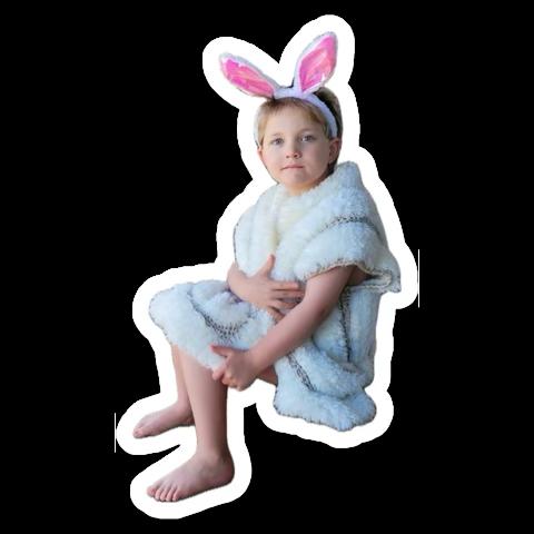 Enlarge Trooper, a ADOPTABLE mixed breed in Littleton, CO image 5/5