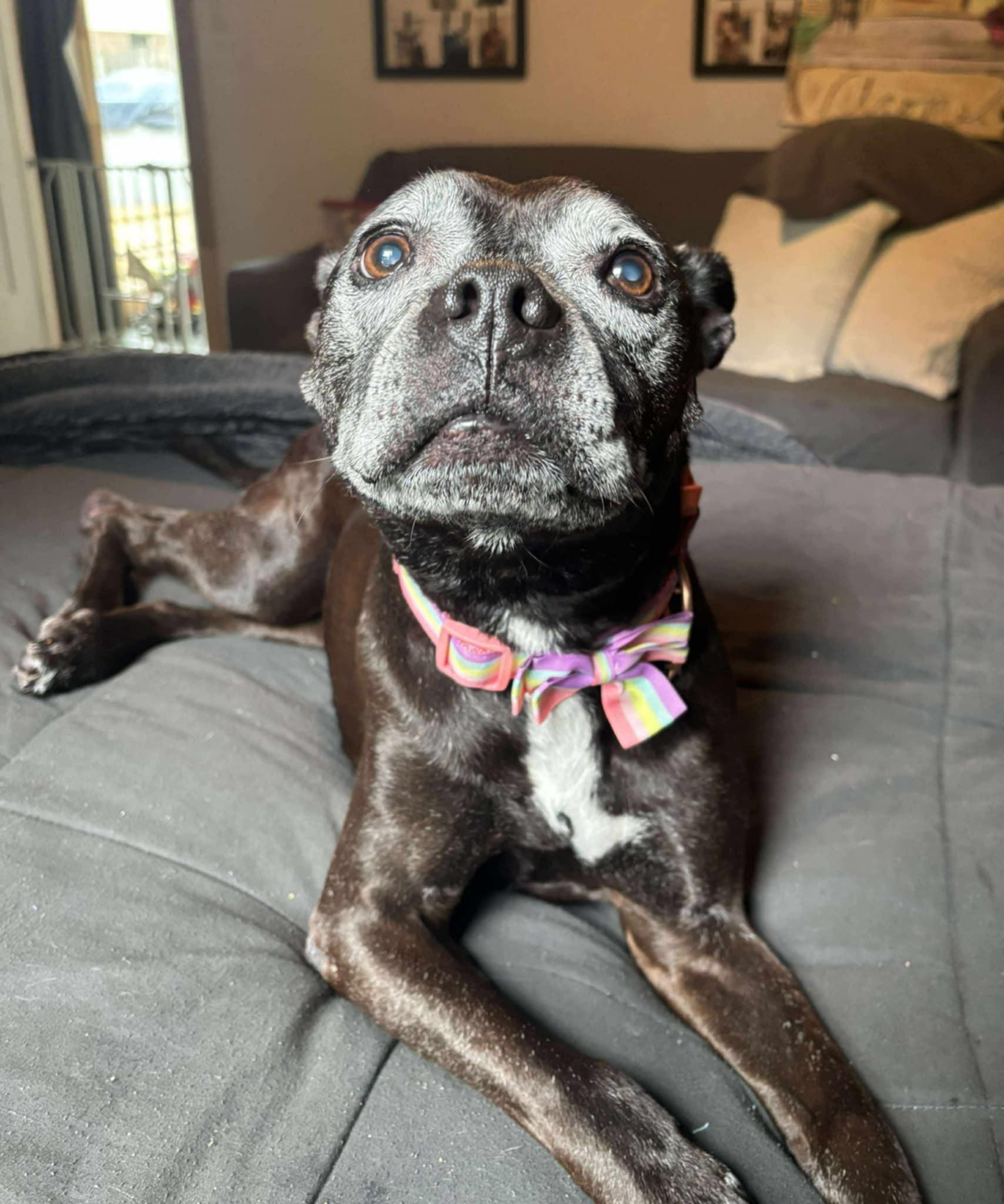 Ellie Mae photo 4