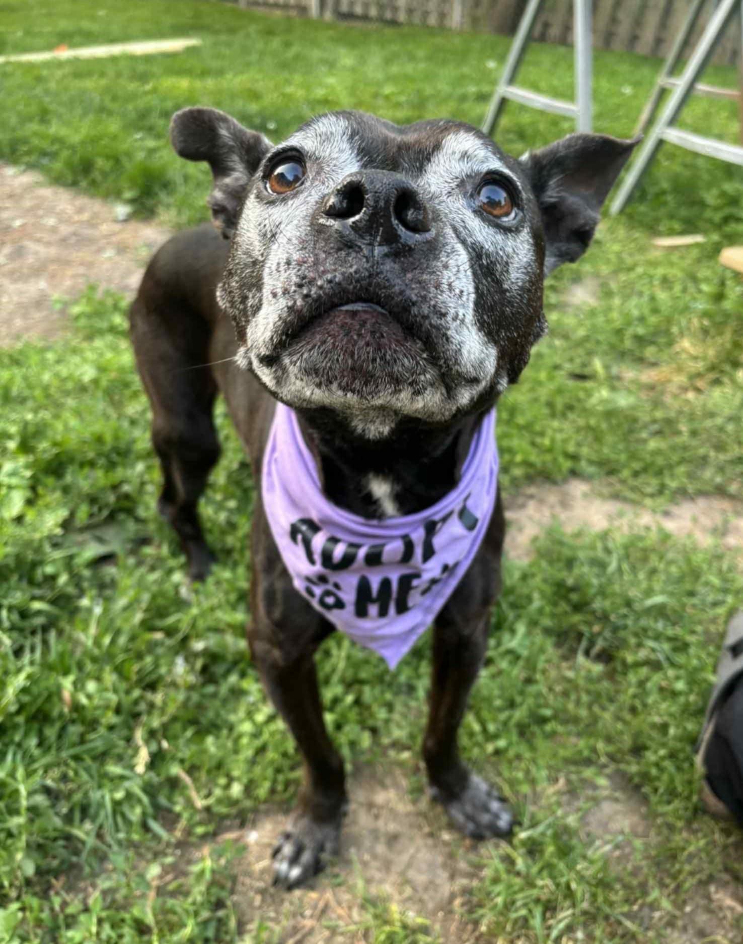 Ellie Mae photo 2