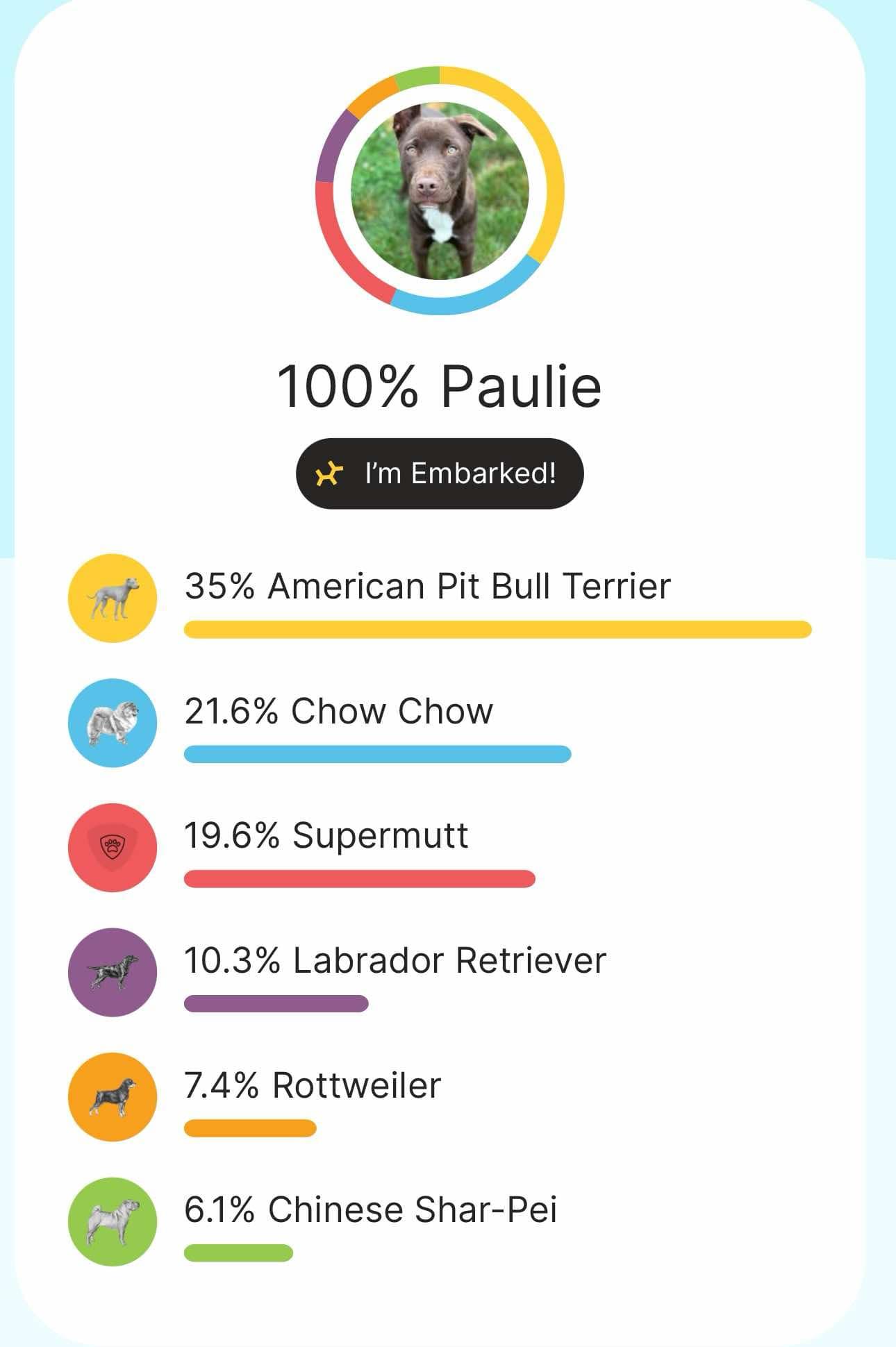 Paulie, a Adopted mixed breed in Seneca Falls, NY image 6/6