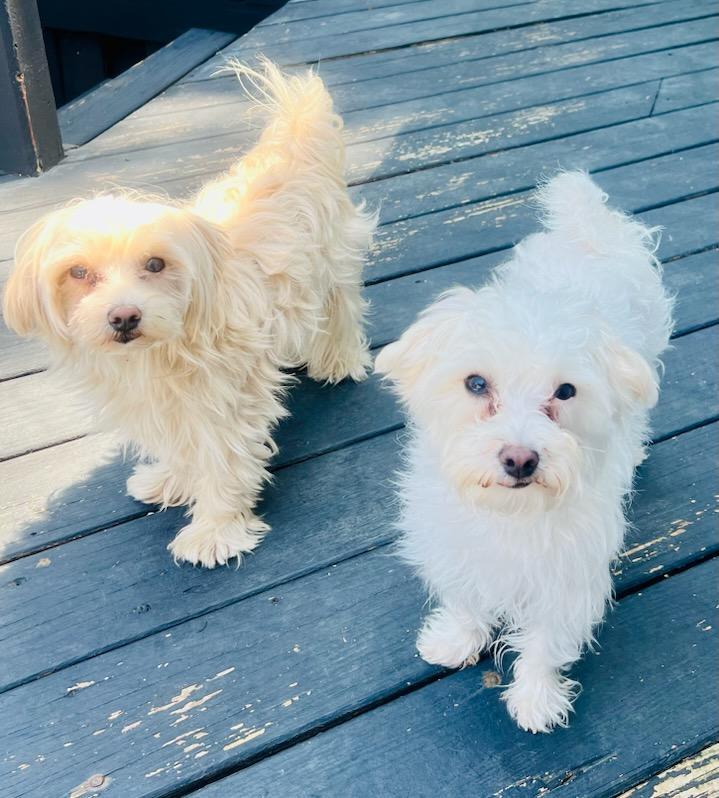 Thelma & Louise