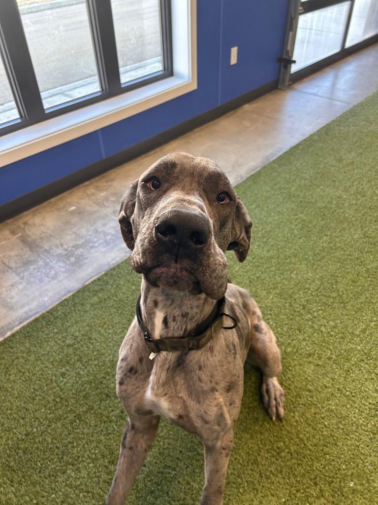 Little One — thumbnail 2