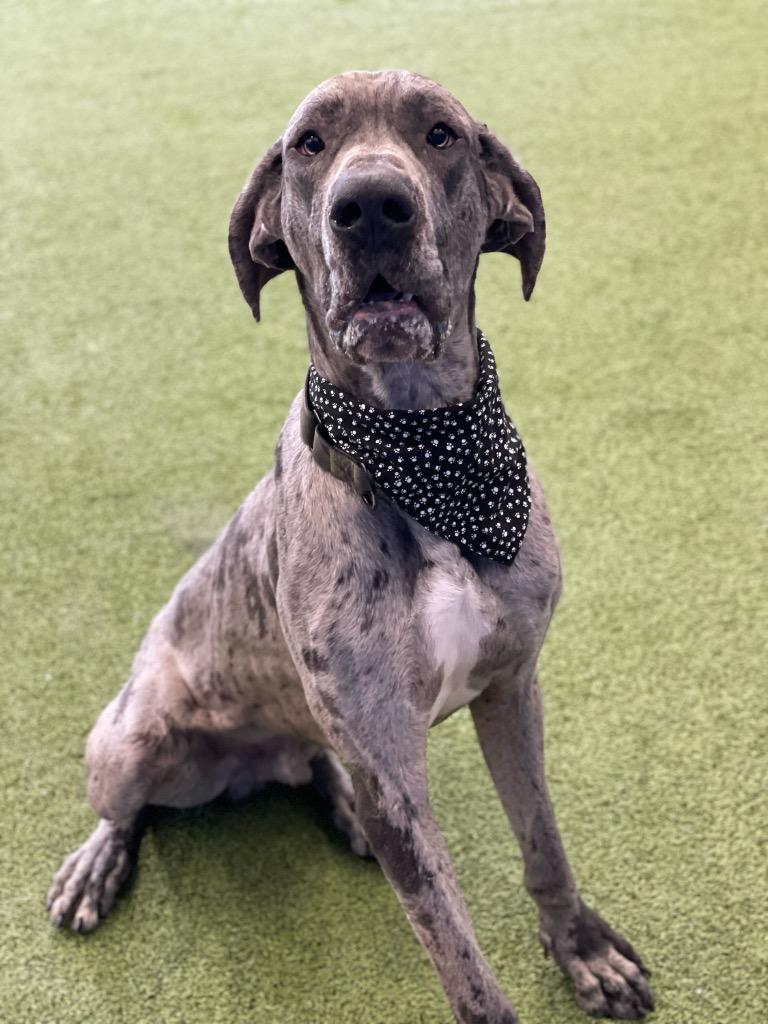 Little One — thumbnail 3