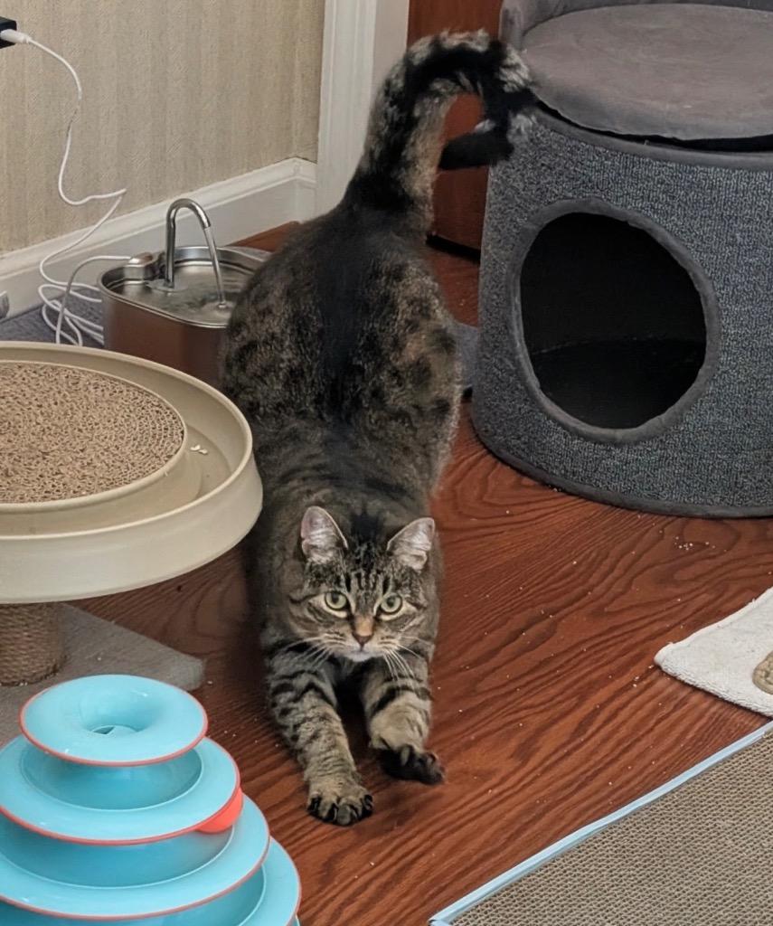 Babs — thumbnail 2