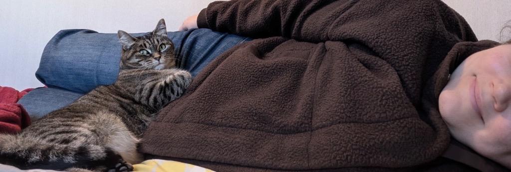 Enlarge Babs, a Adoptable Siamese in Ewing, NJ image 3/6