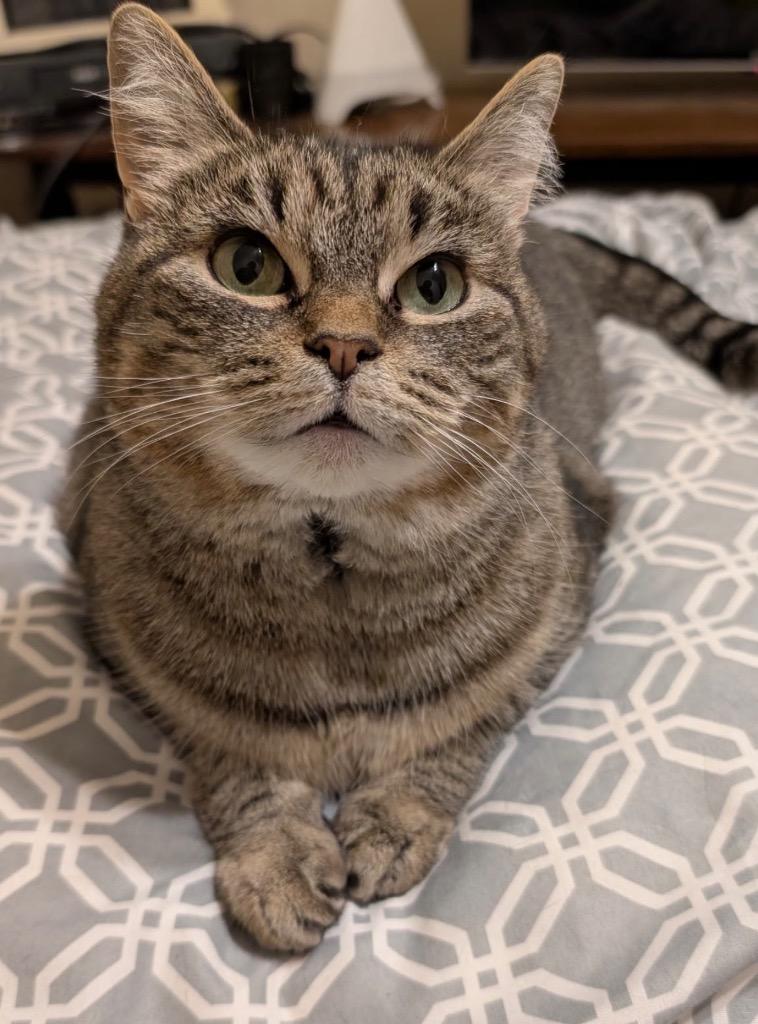 Babs — thumbnail 6