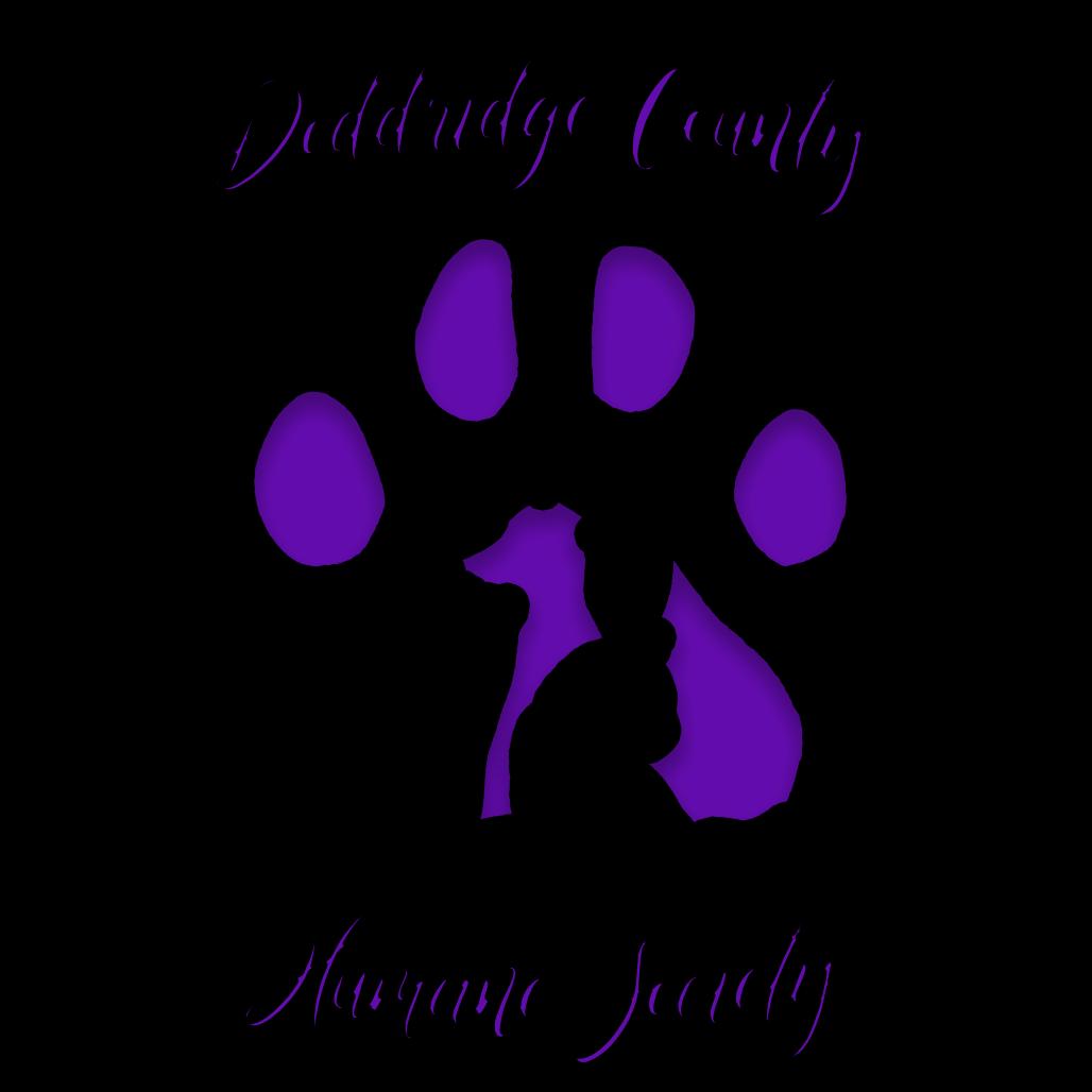 Maderia, a Adoptable Domestic Short Hair in Salem, WV image 1/2