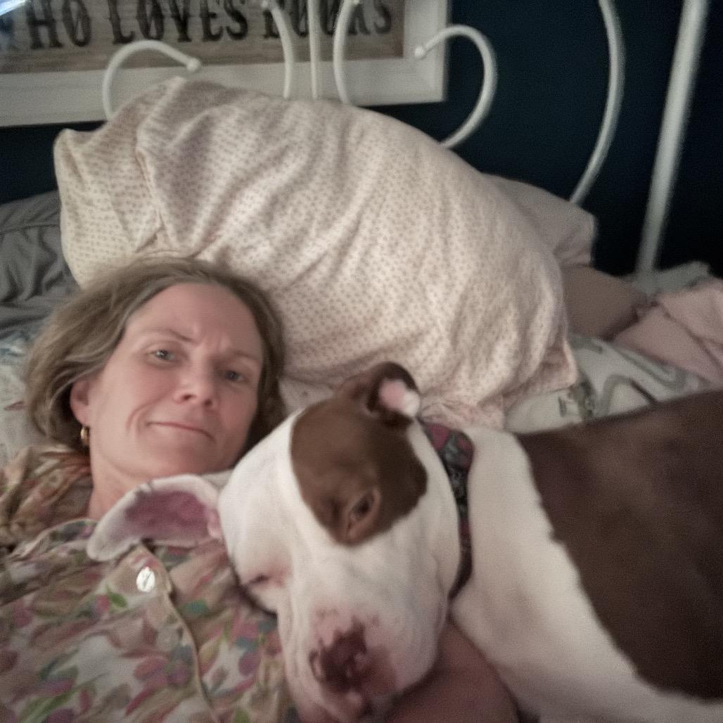 Oonagh, a Adoptable Pit Bull Terrier in Chicago, IL image 2/6