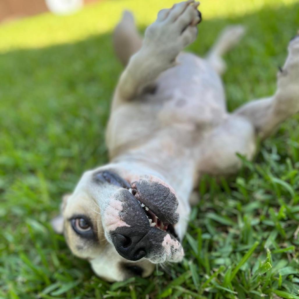 Sandy Aka Cleo thumbnail 5