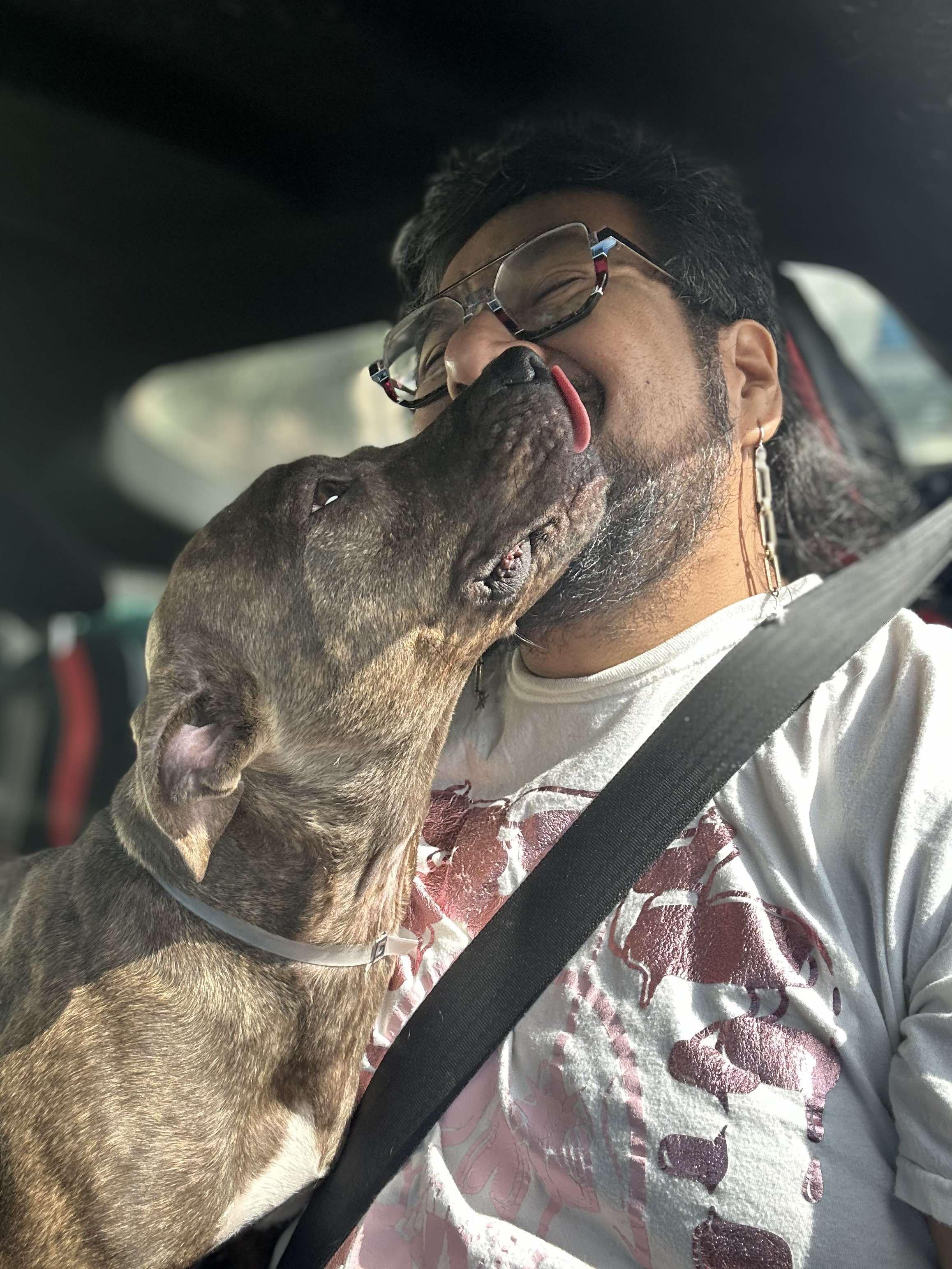 Alfalfa, a Adoptable mixed breed in Bozeman, MT image 3/6