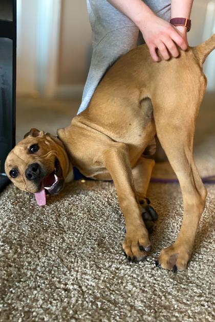 Berrywine thumbnail 3