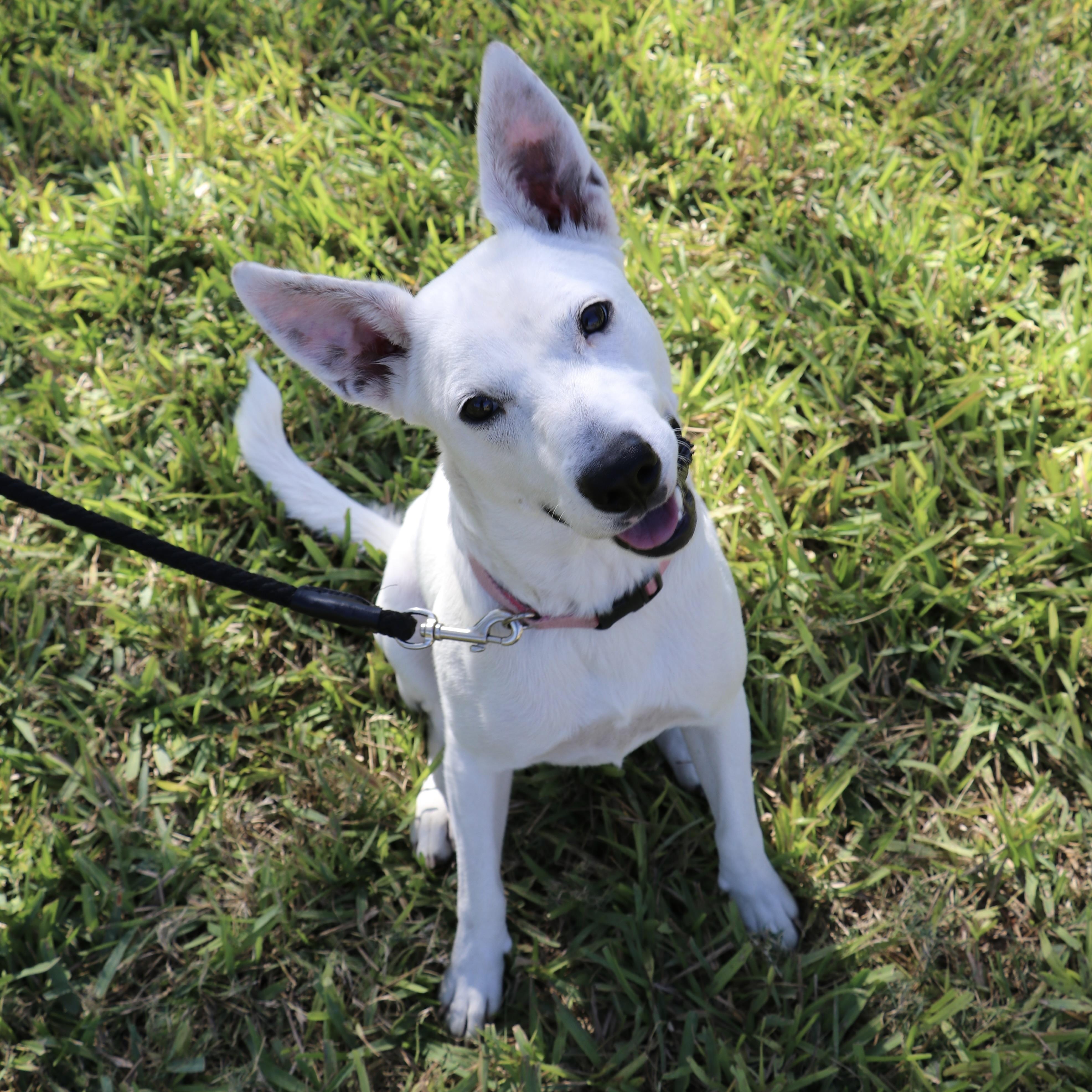 Sweet Sasha - The Happiest Girl — thumbnail 5