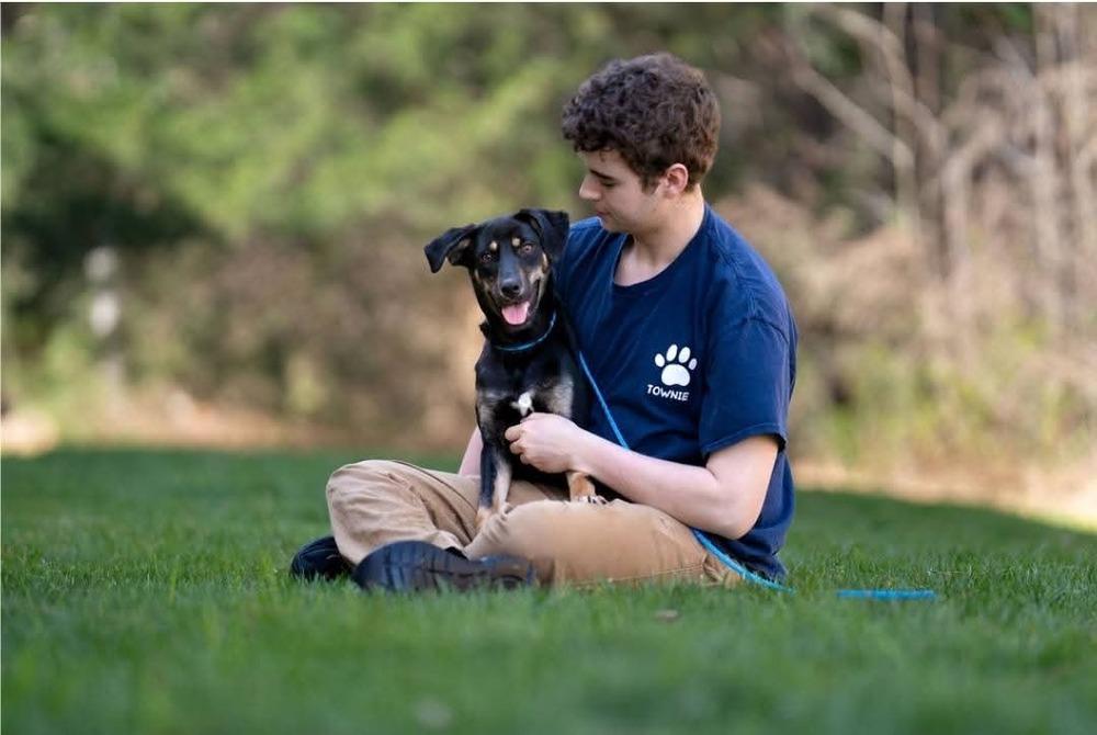 Lexi, Adoptable, Young Female Plott Hound & Siberian Husky.