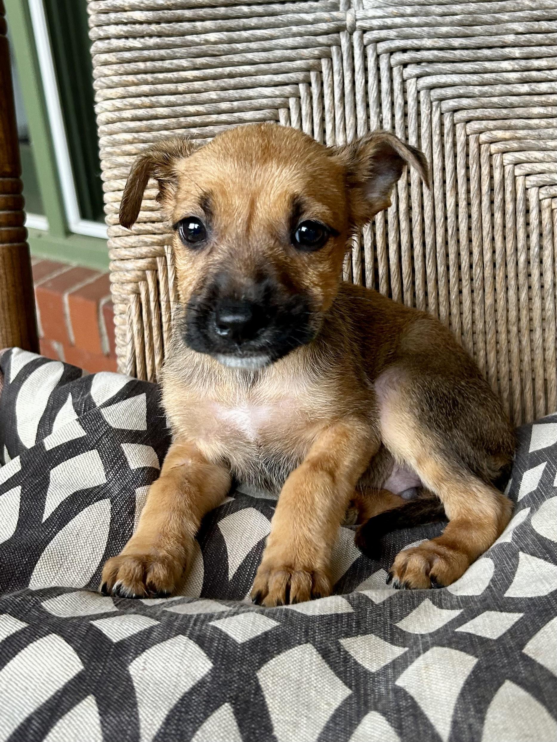 CHARLIE photo 4