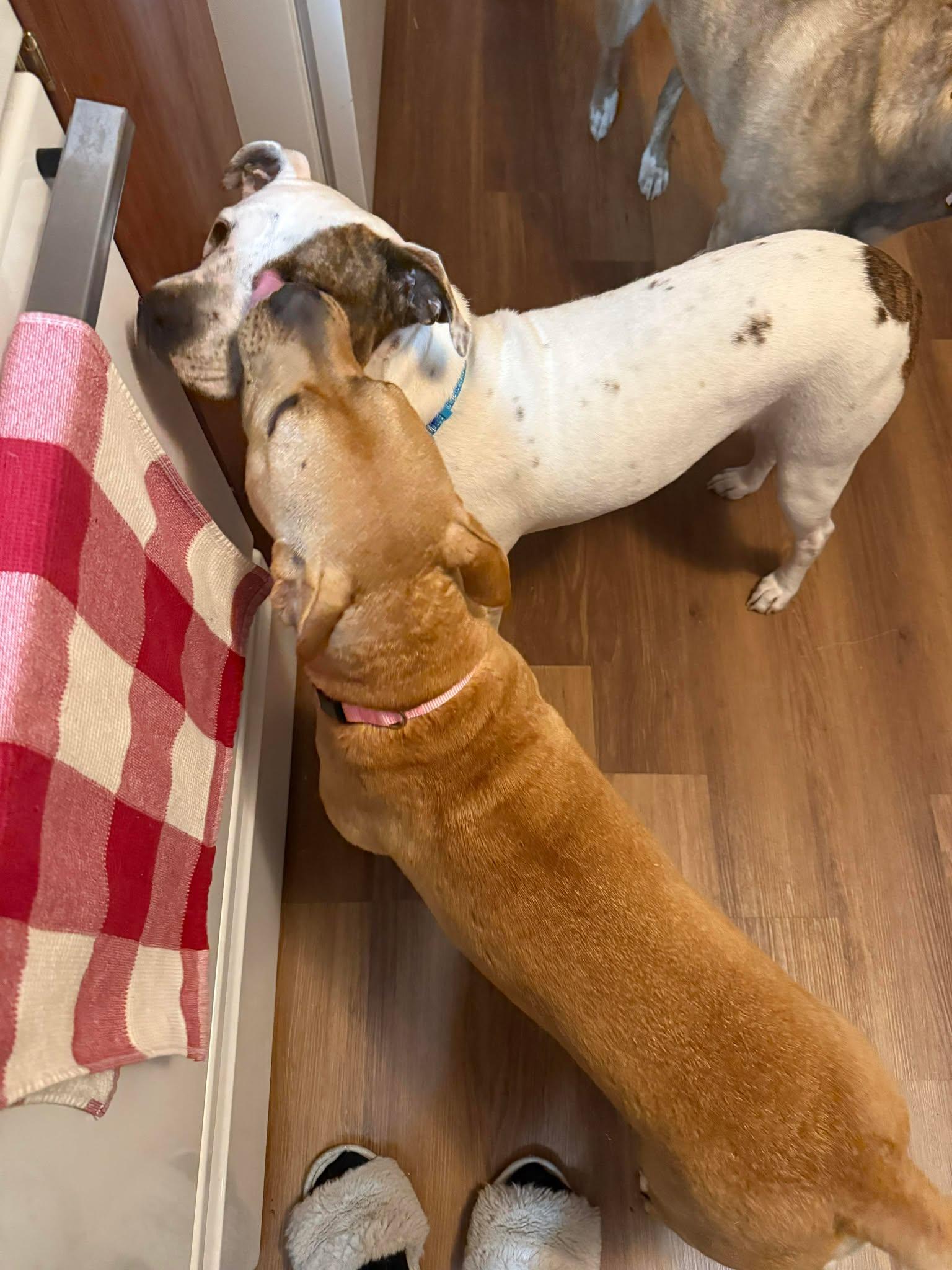 Jynx — thumbnail 3