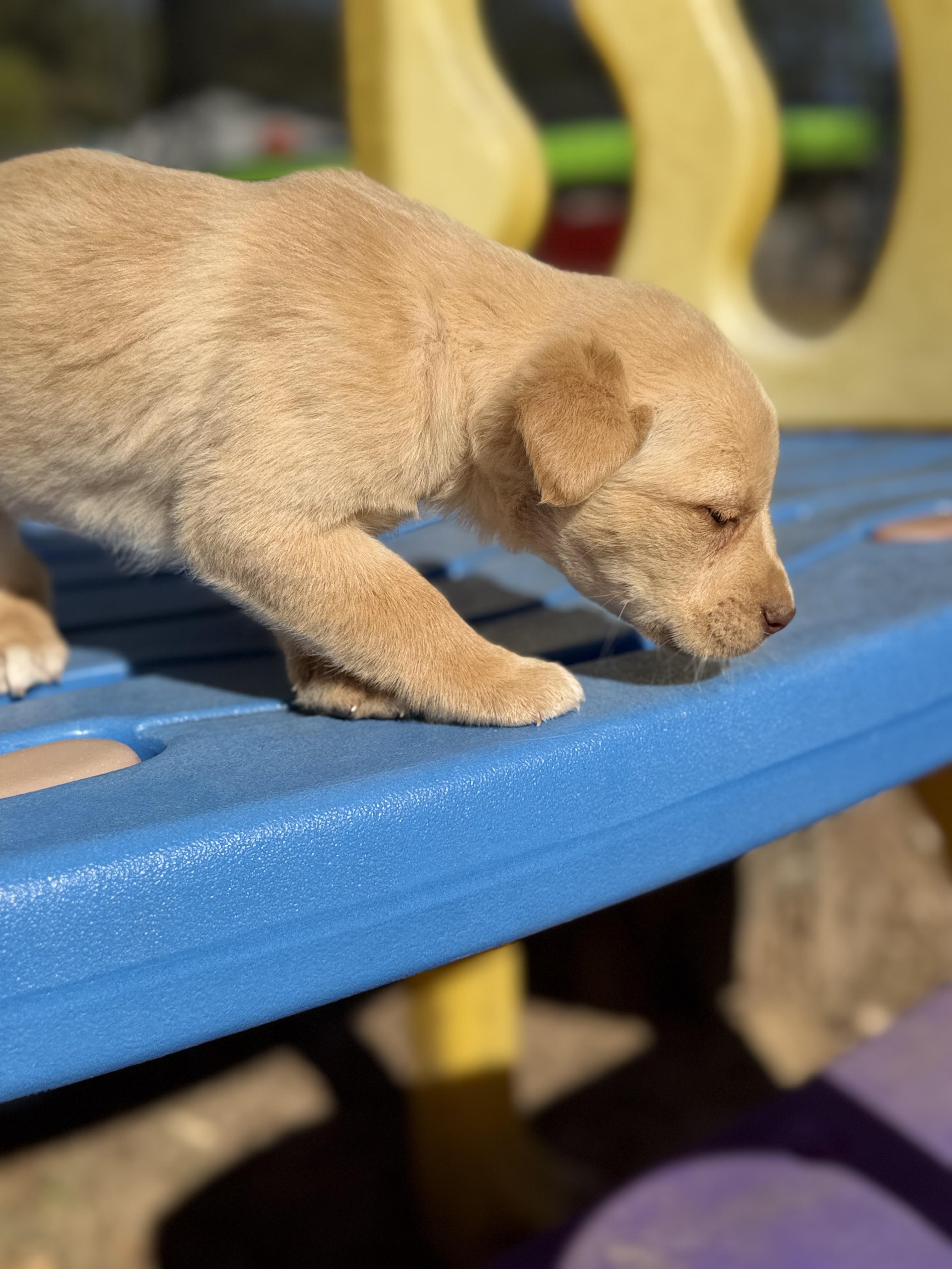 BUTTON — thumbnail 3