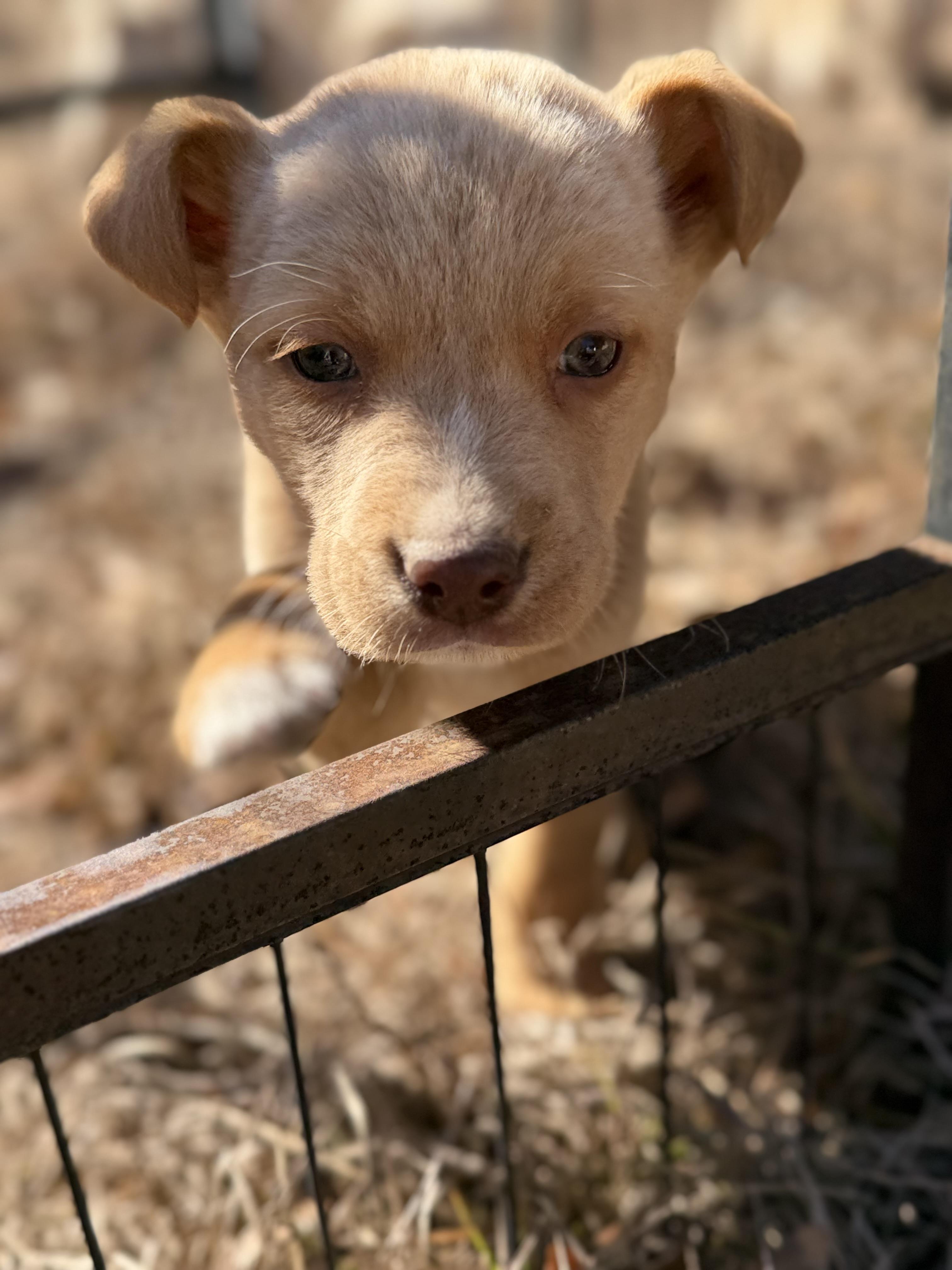 BUTTON — thumbnail 5