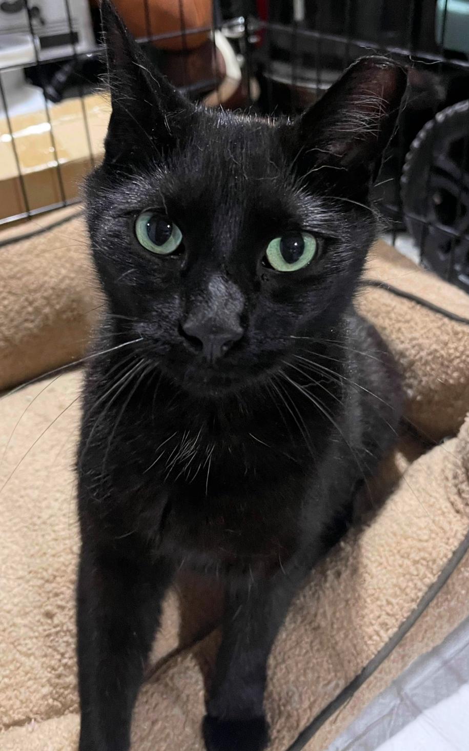 Angel (His name says it all!)