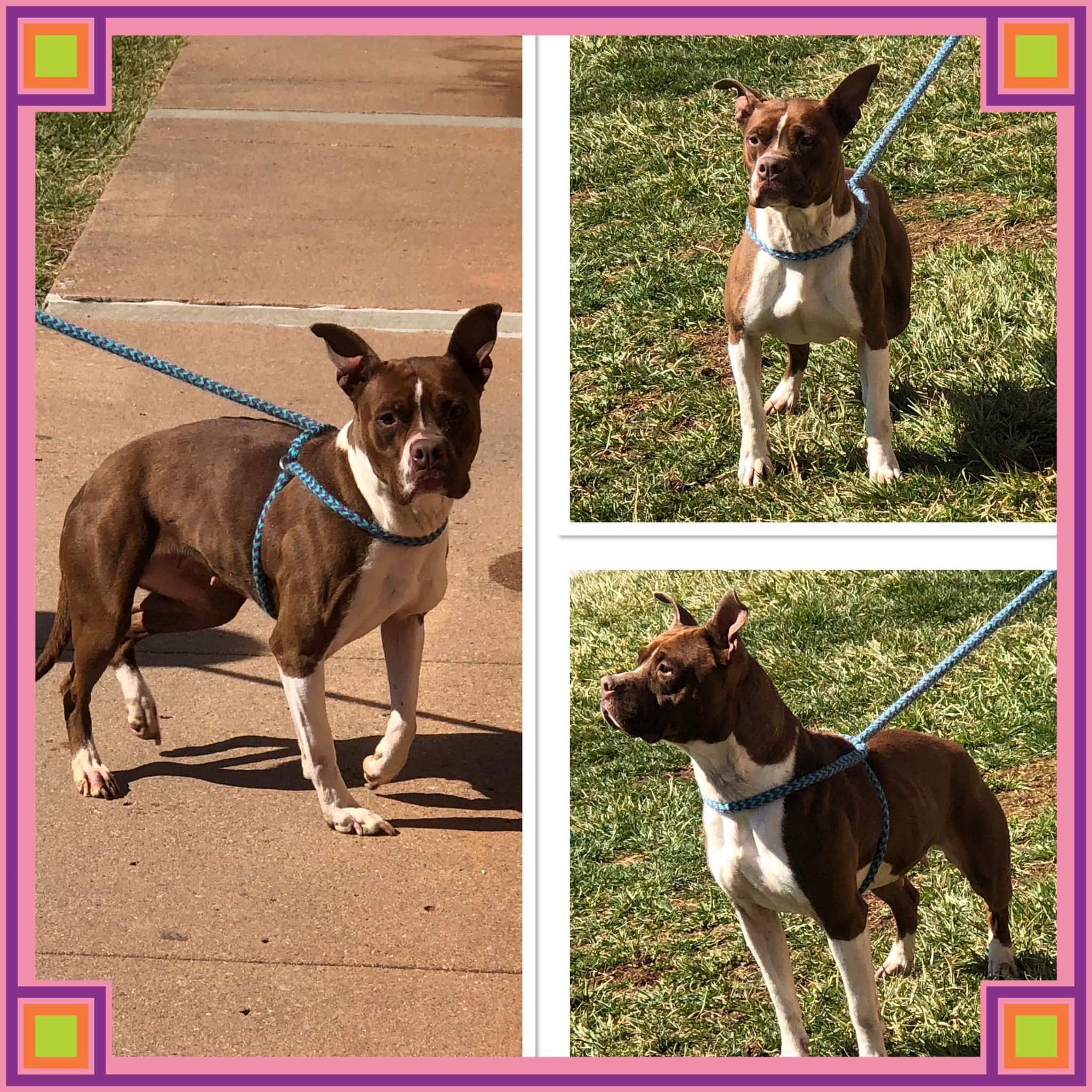 Janie photo 1