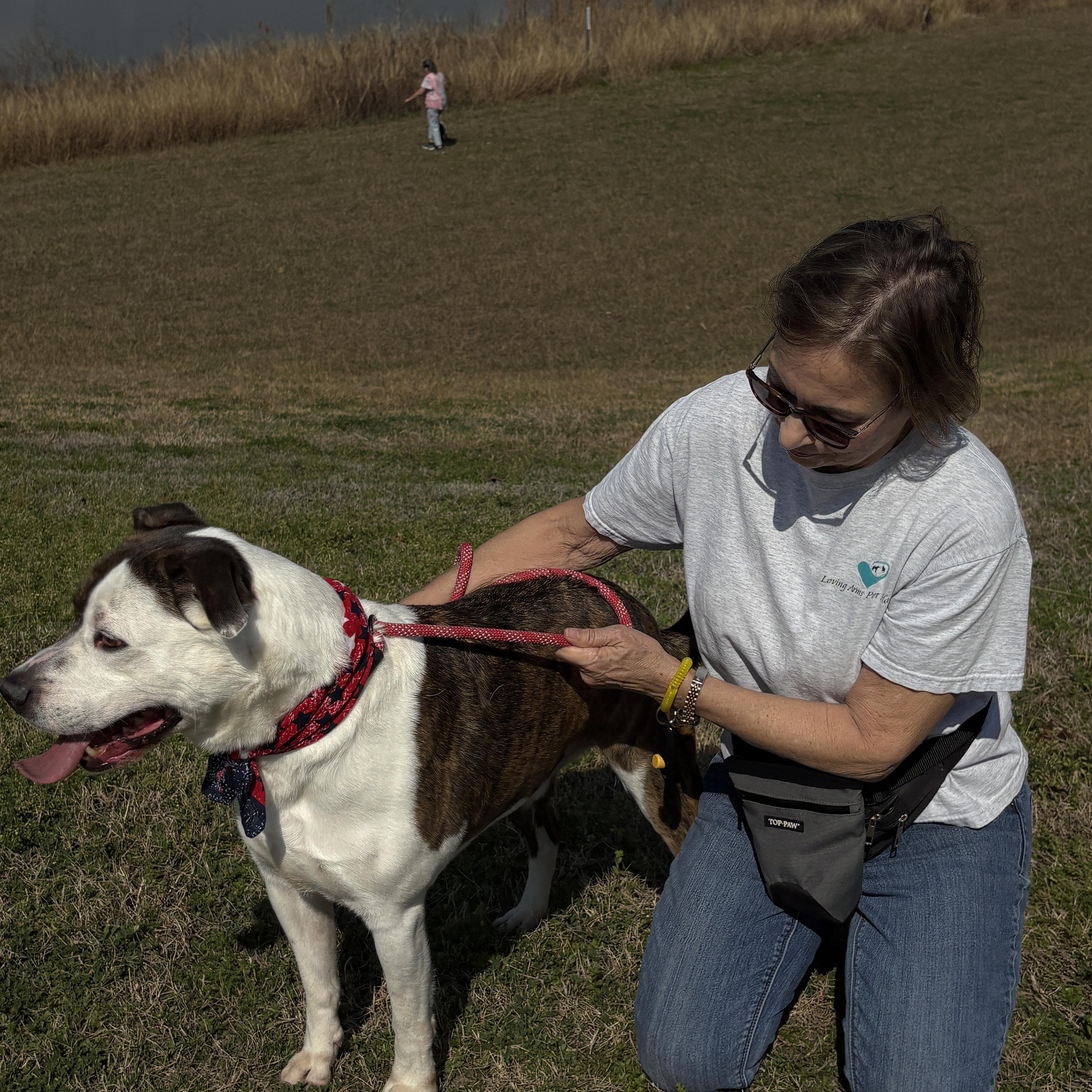 Enlarge MERRICK- gorgeous!, a Adoptable mixed breed in Richmond, VA image 3/6