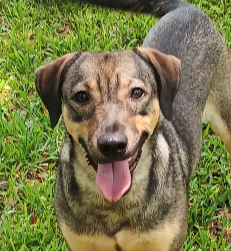 Nala photo 1