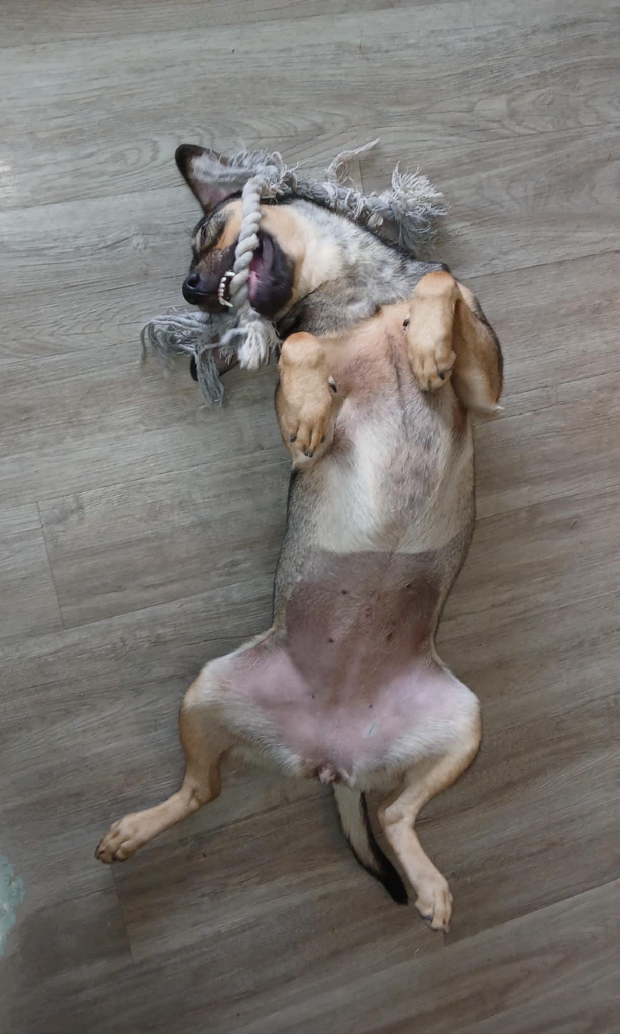 Nala photo 5