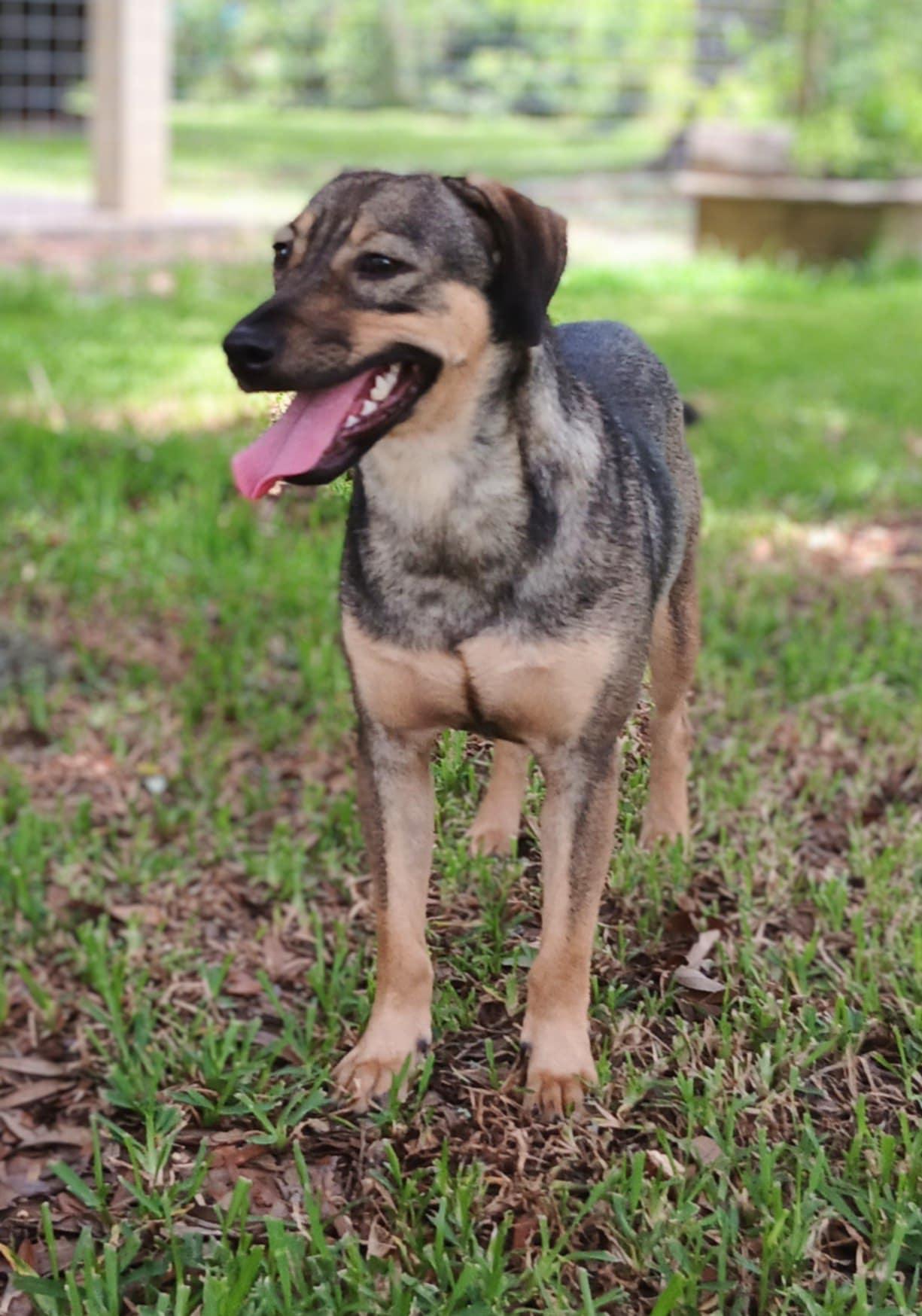 Nala photo 4