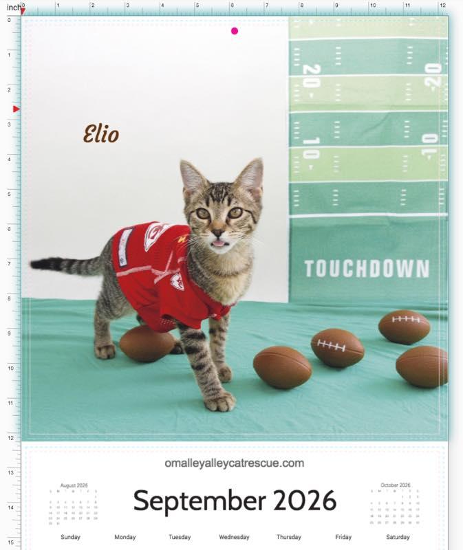 ELIO