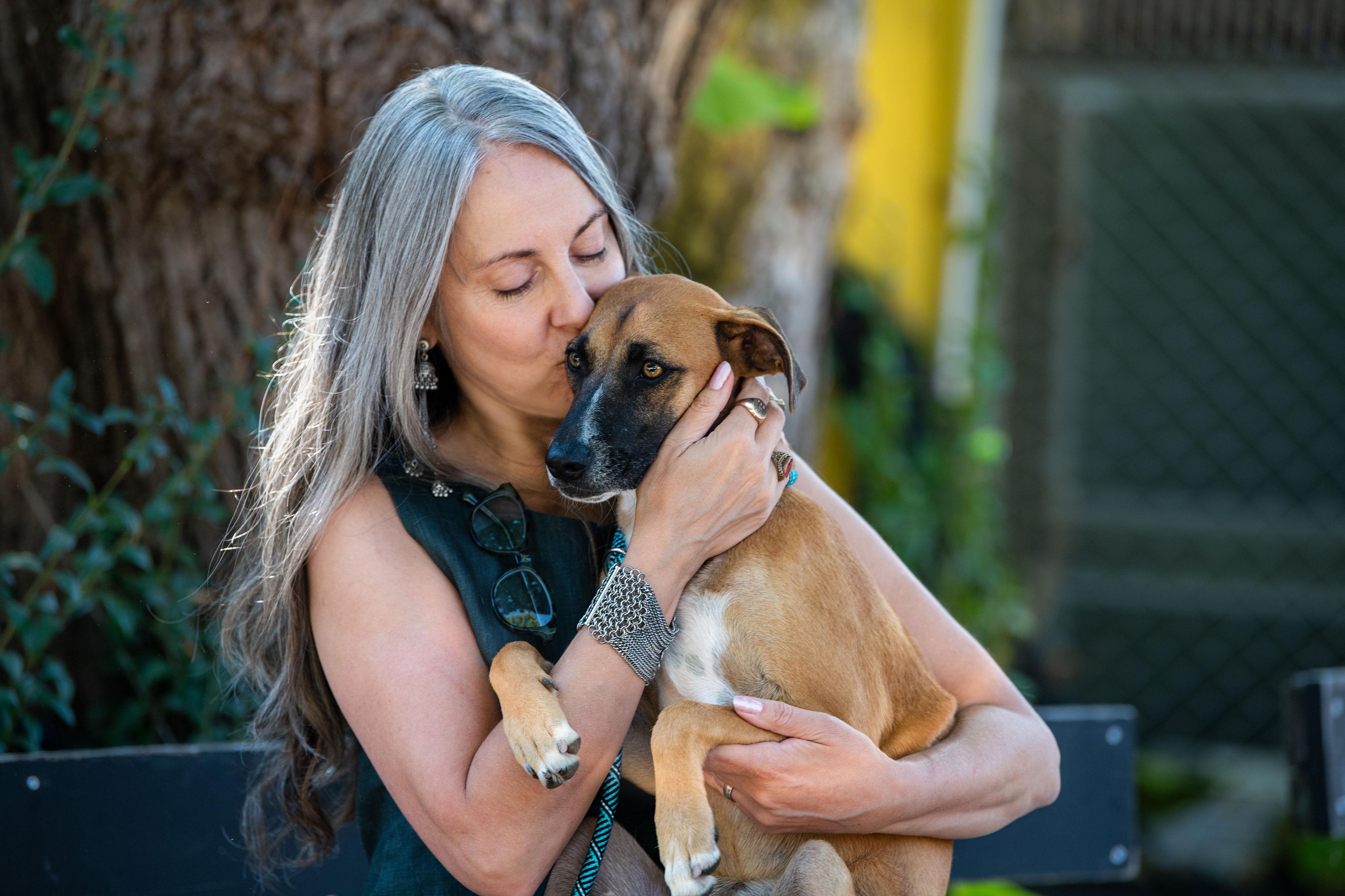 Enlarge Kelly, a Adoptable mixed breed in Santa Rosa, CA image 5/6