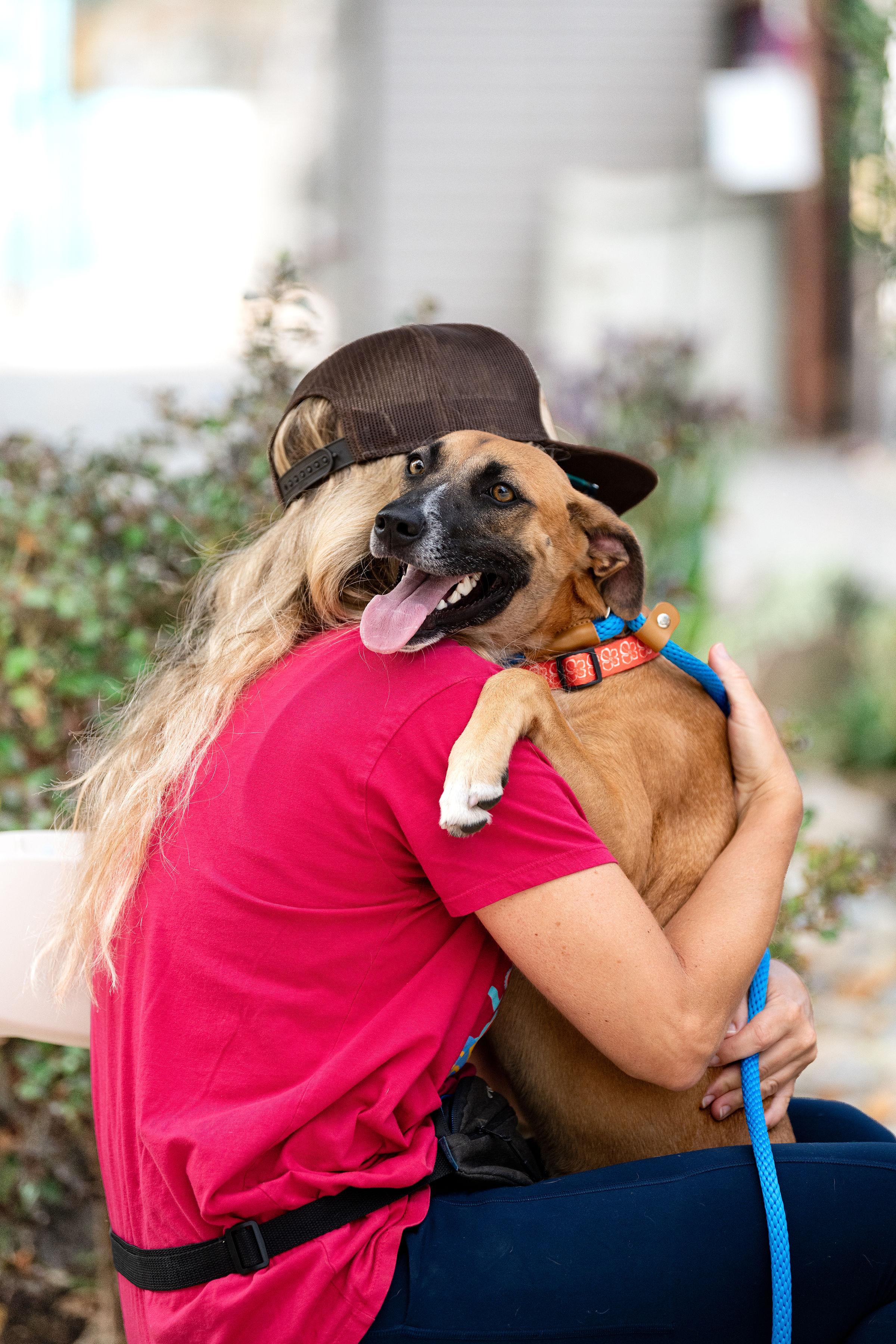Enlarge Kelly, a Adoptable mixed breed in Santa Rosa, CA image 3/6