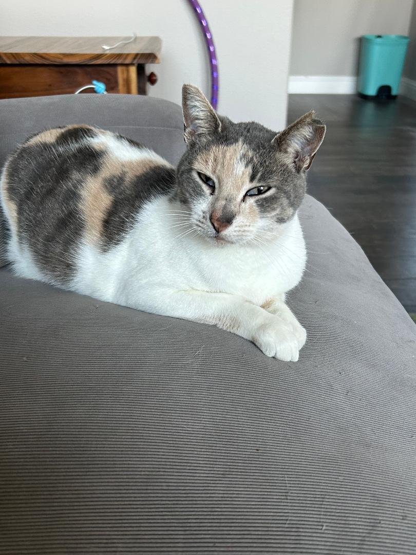 Sally