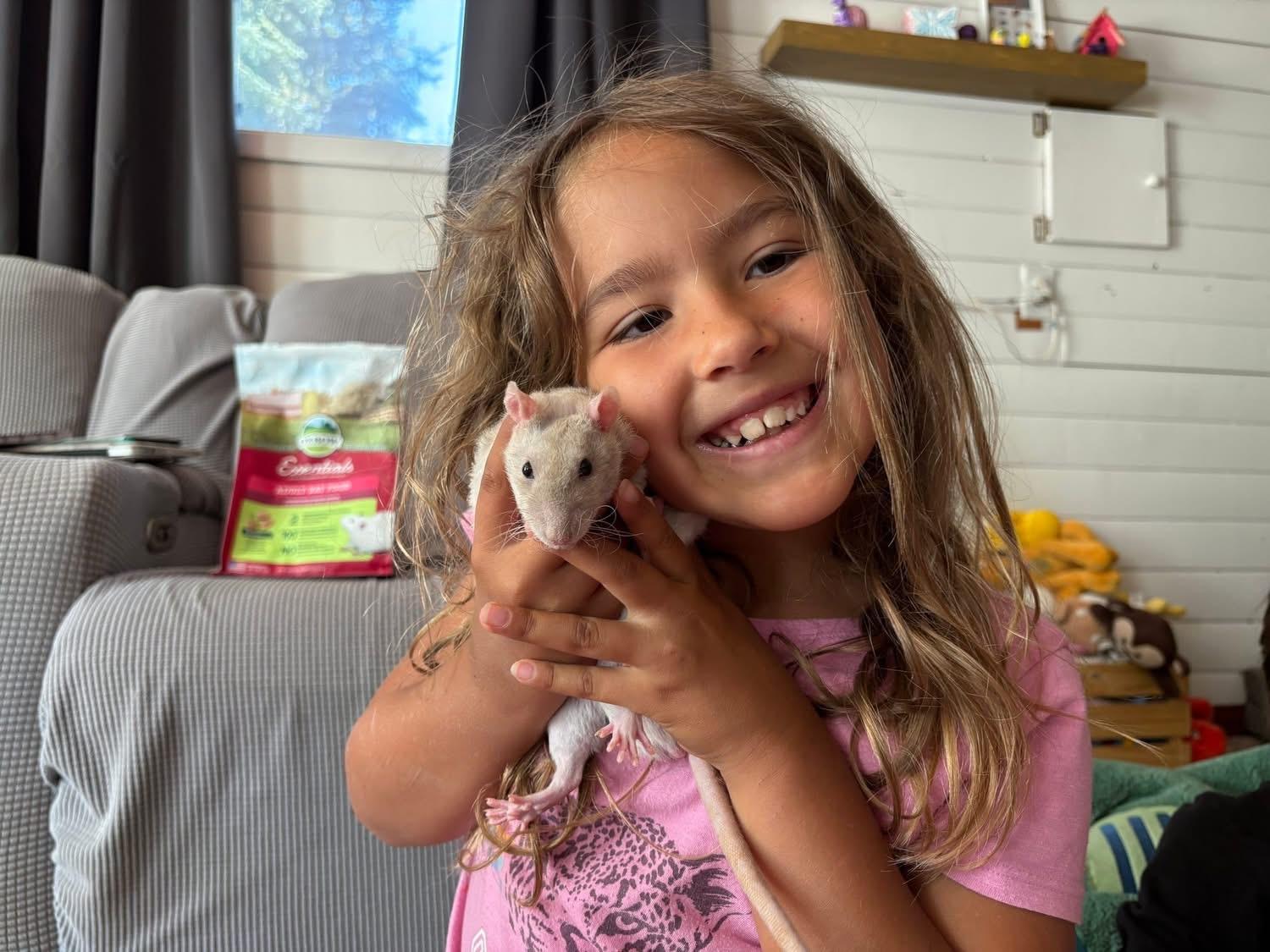 Ford, Chevy & Blue, a Adoptable Rat image 2/6