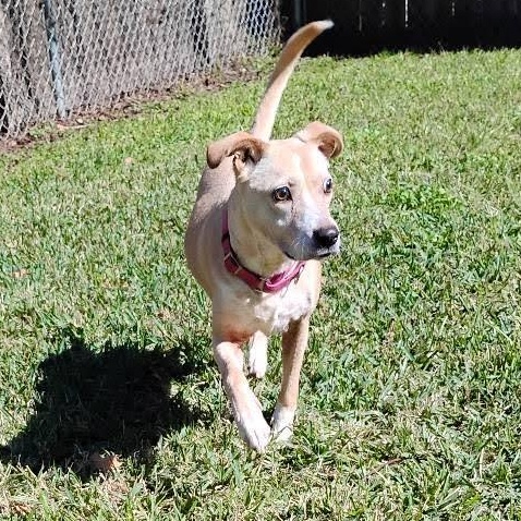 BLIND FAITH — thumbnail 5