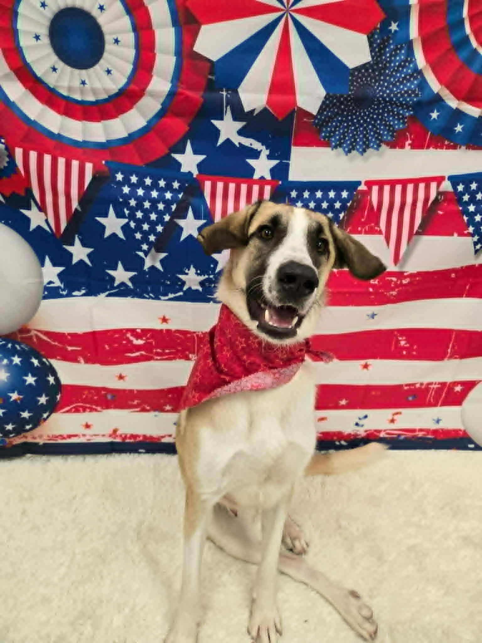 TRUFFLE — thumbnail 2