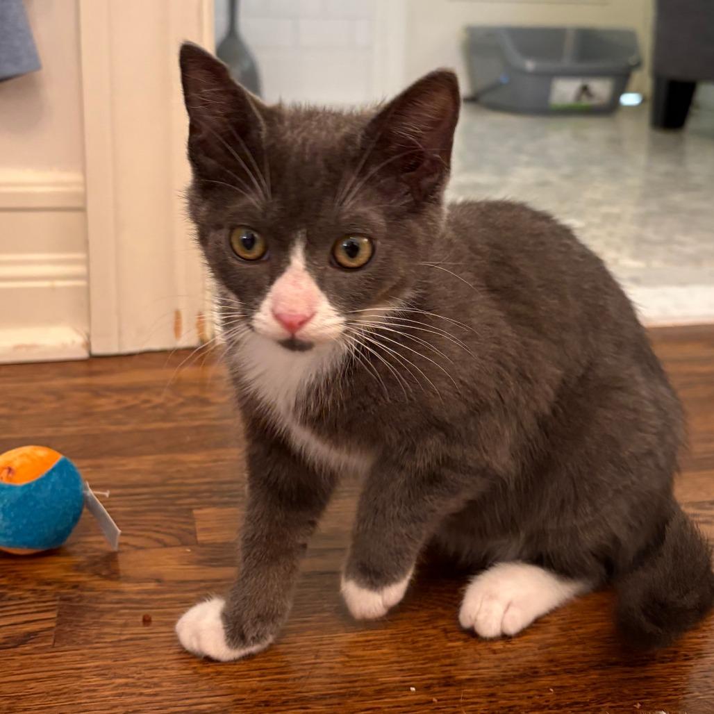 Mittens — thumbnail 2