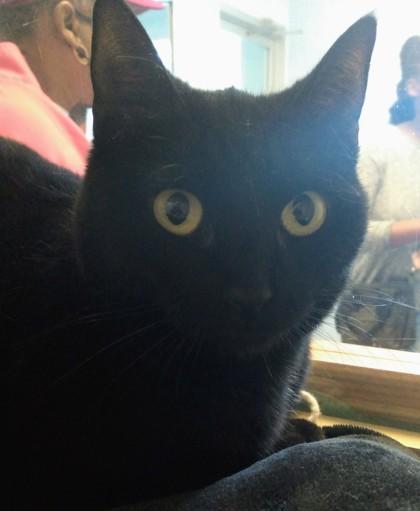 Matilda — thumbnail 2