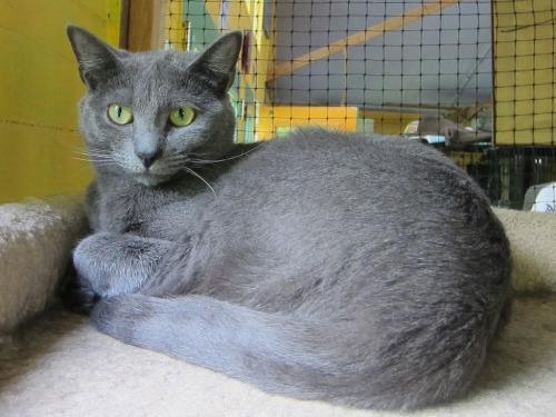 Mandy — thumbnail 2