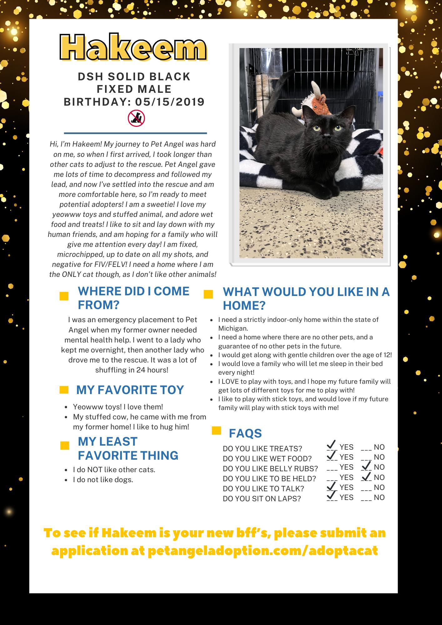 Enlarge Hakeem, a Adoptable Domestic Short Hair in Frankenmuth, MI image 1/6