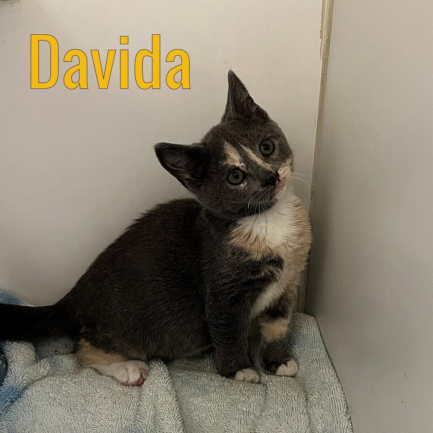 Davida, Baby Female unknown