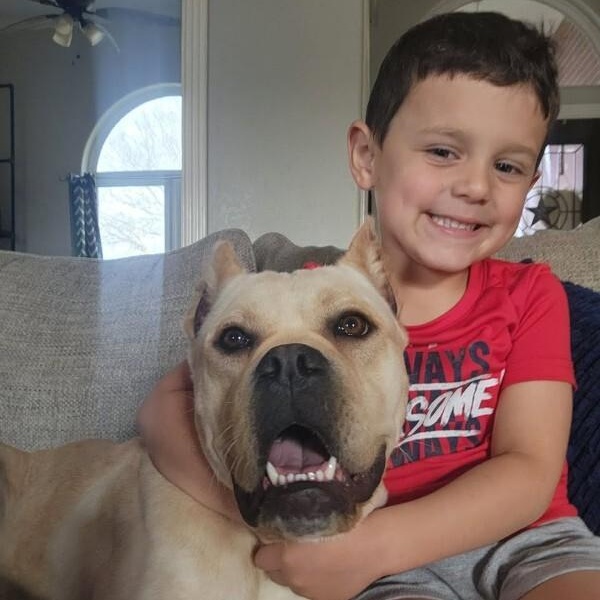 Enlarge Piper Squishy Lovebug, a Adoptable mixed breed in Cincinnati, OH image 2/6
