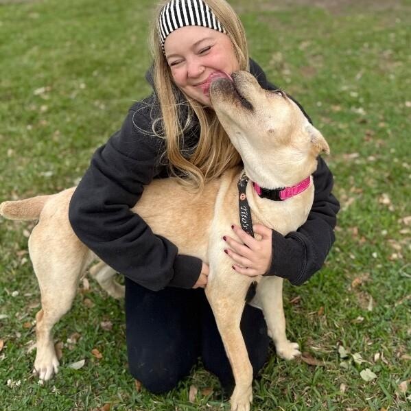 Enlarge Piper Squishy Lovebug, a Adoptable mixed breed in Cincinnati, OH image 4/6