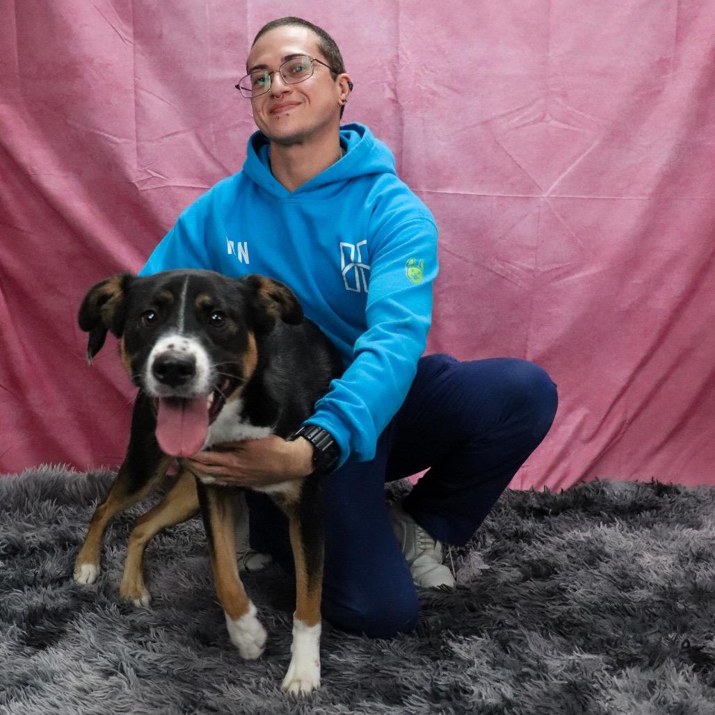 Enlarge Tippy, a Adoptable mixed breed in San Jacinto, CA image 4/6