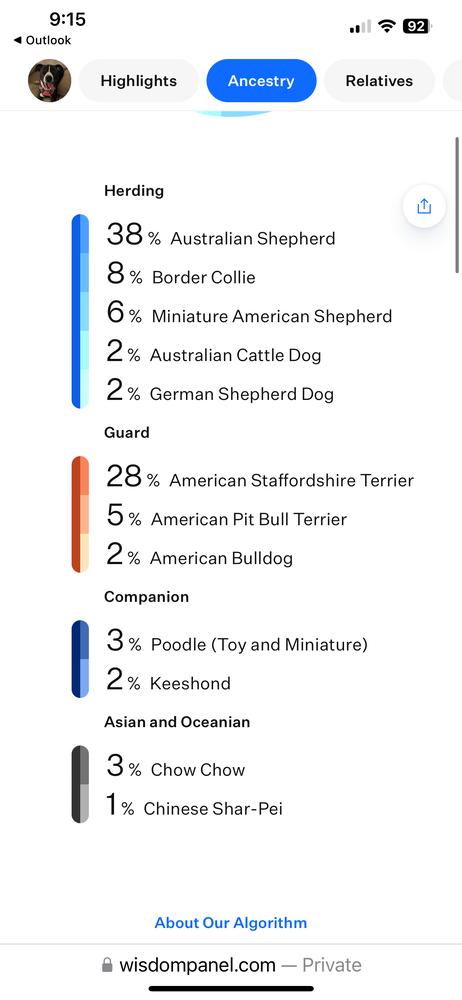 Marley, a Adoptable mixed breed in Spokane , WA image 4/6