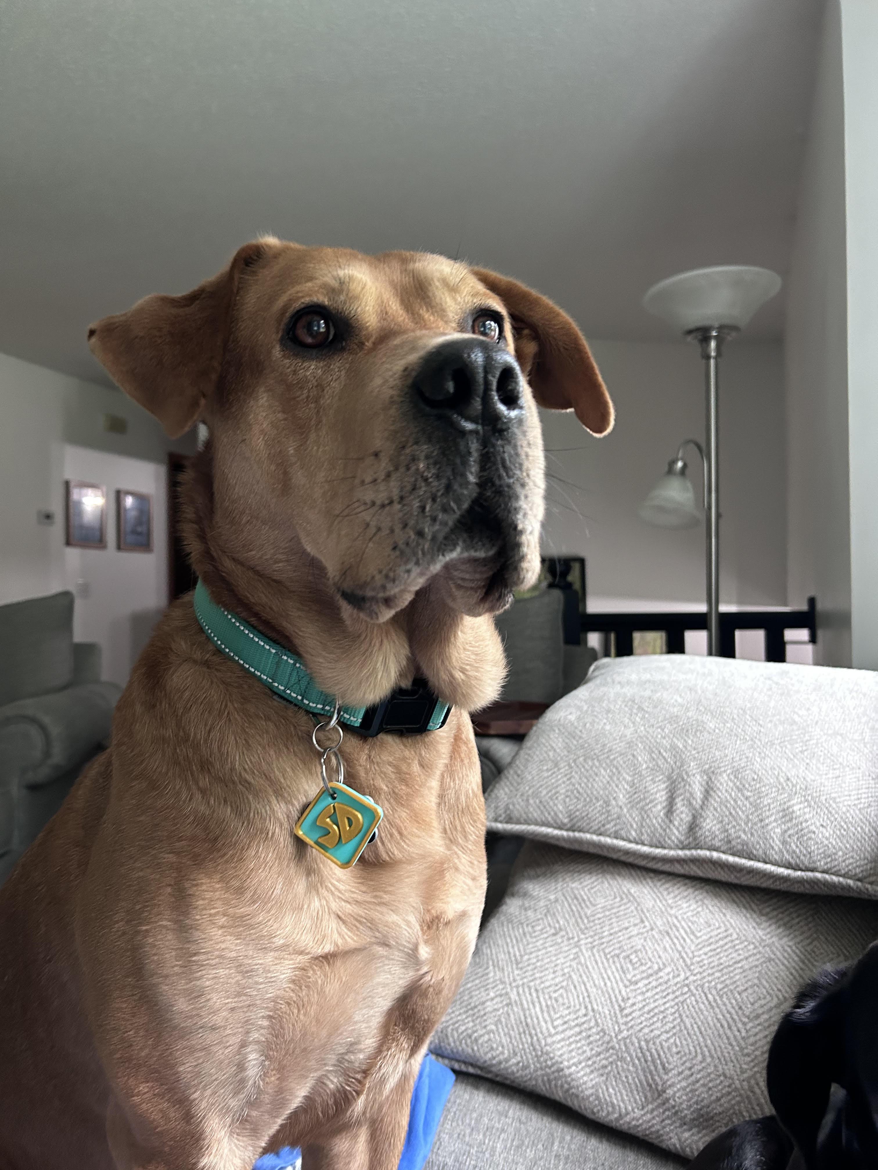 Red *Courtesy Post* - photo 4