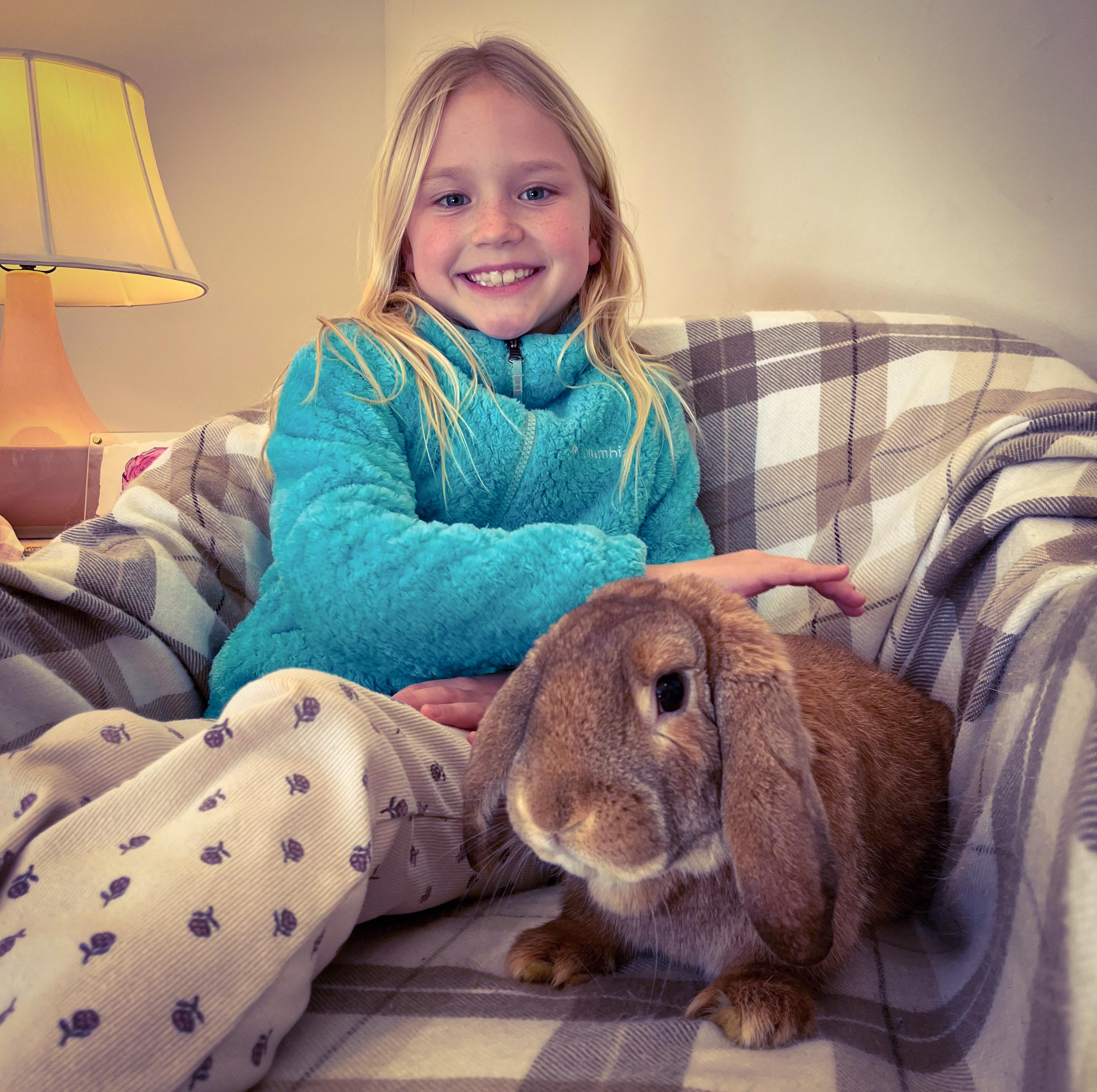 Enlarge Roscoe, a Adopted English Lop in Columbia, TN image 2/3
