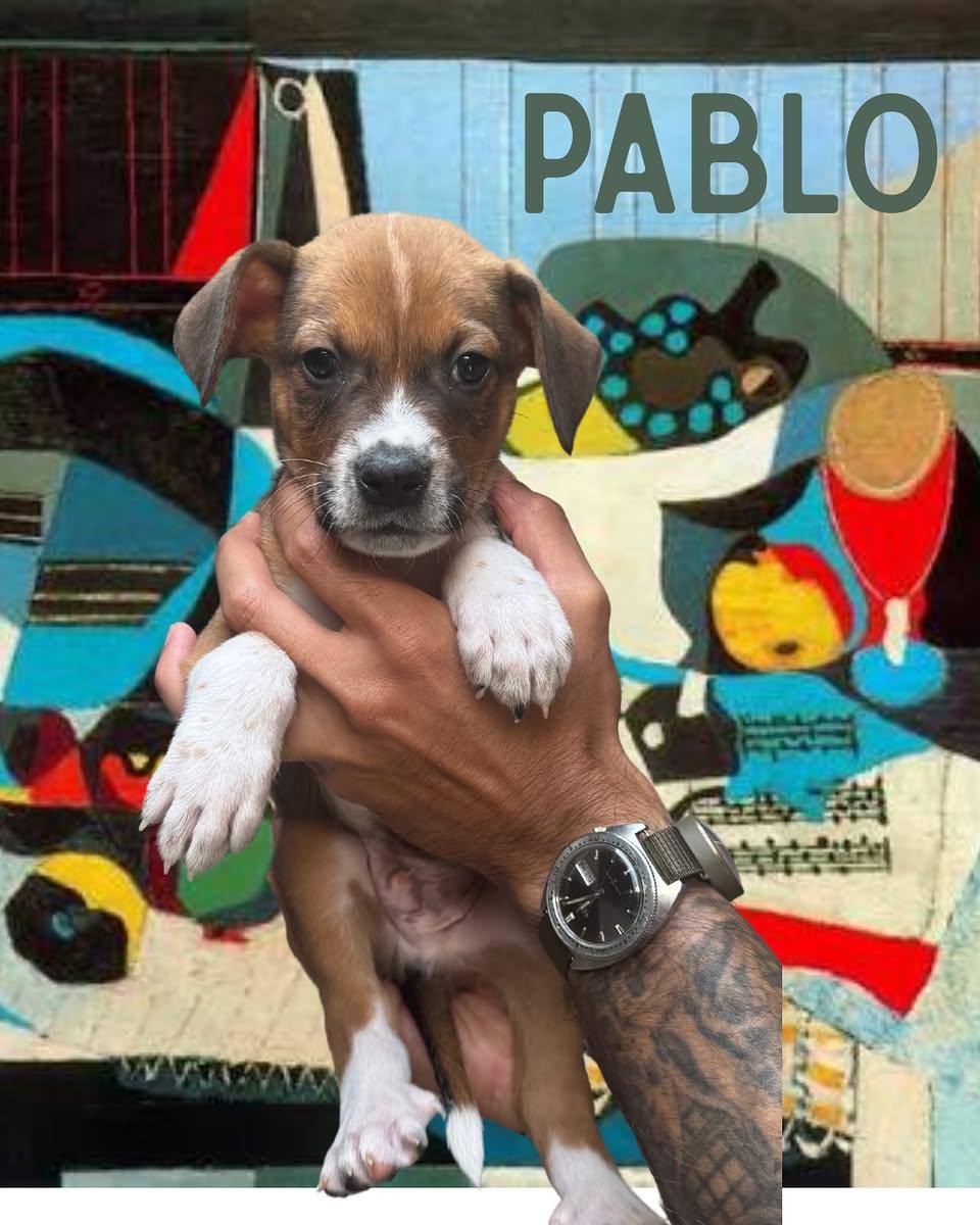 Pablo Picasso