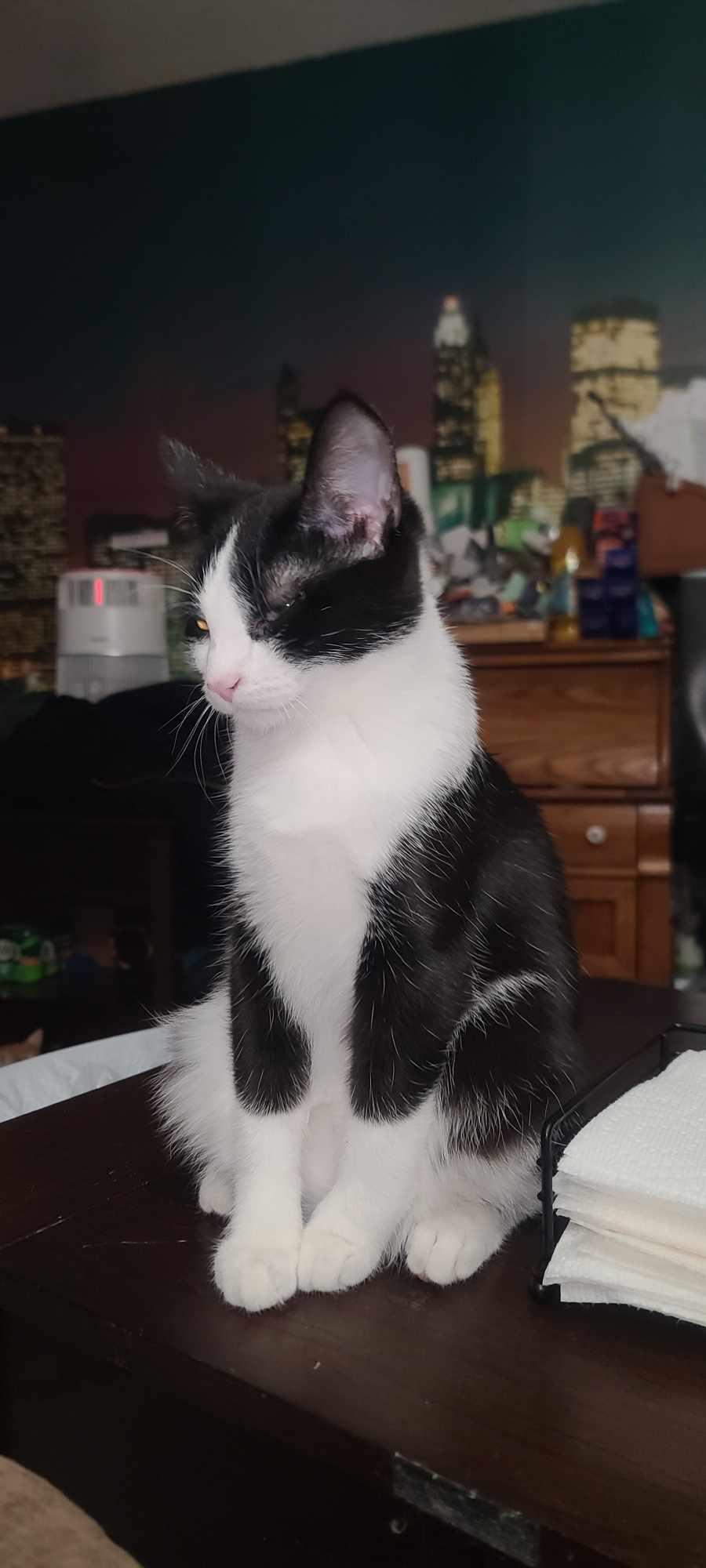 Azura, Young Male unknown