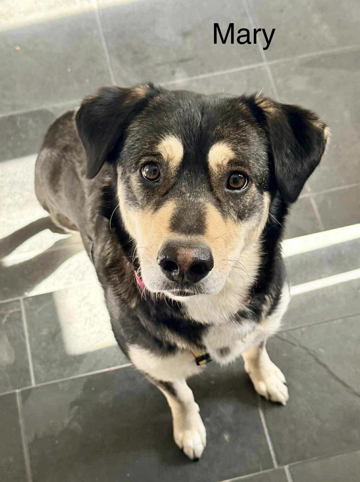 Mary — thumbnail 4