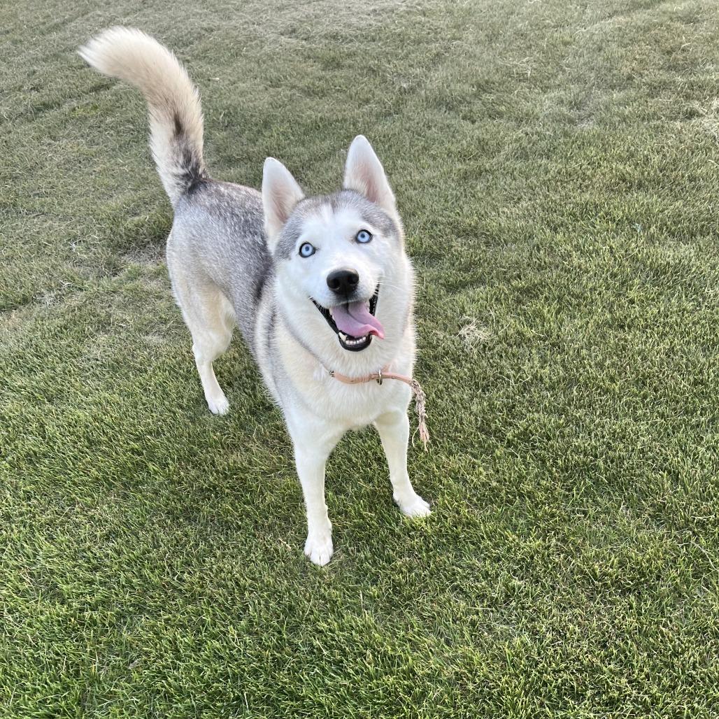 Noel — thumbnail 5