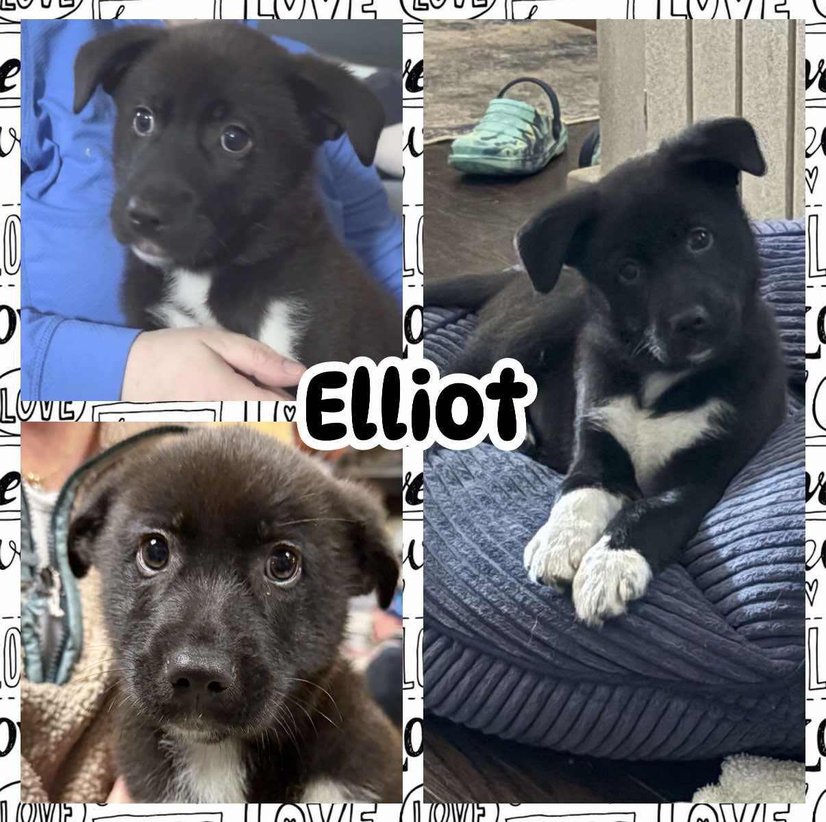 Elliot